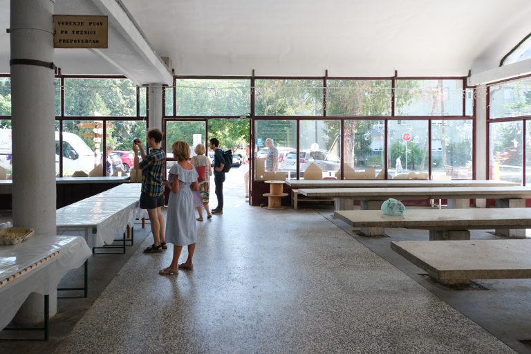 Almira-Catovic-OCPS (52)